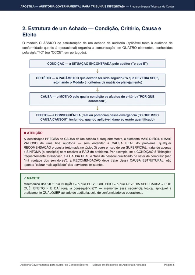 Página real do material de Auditoria Governamental: página interna de conteúdo